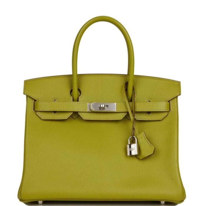 Designer Tote Birkin 25cm Bag